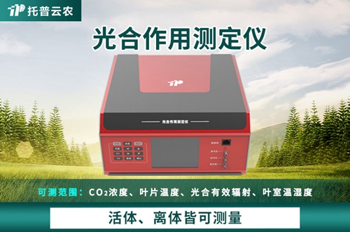 光合作用测定仪