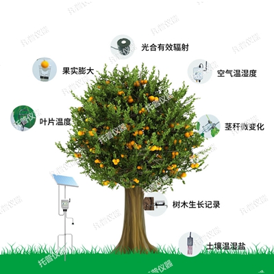 植物生理生态监测系统