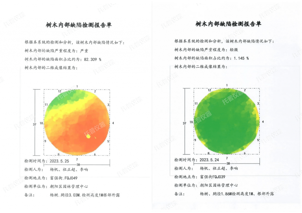 树木无损检测探伤仪：勘察树木健康状况，给出专业治疗方案图片4
