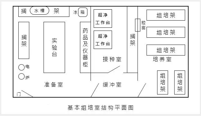 组培室布局和设备