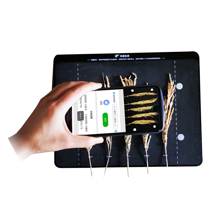 稻穗形态测量仪