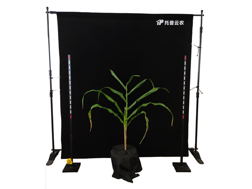 玉米株型分析系统TPMT-X-1