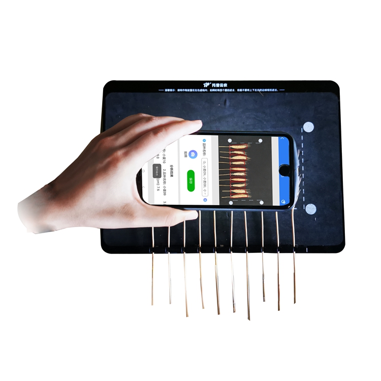 麦穗形态测量仪