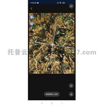 小麦亩穗数测量系统【TPMS-1】