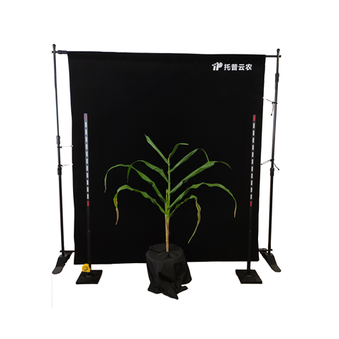 玉米株型分析系统