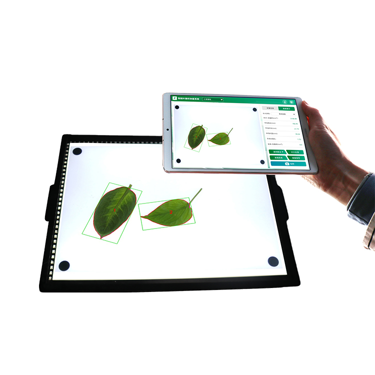 智能叶面积测量系统YMJ-CHA3