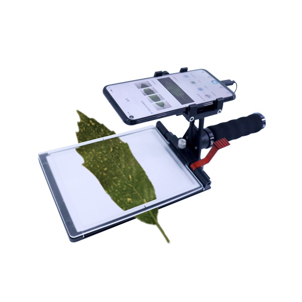 活体叶面积测量仪YMJ-D