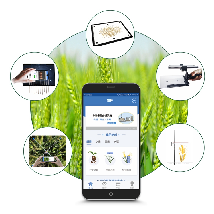 小麦表型检测系统