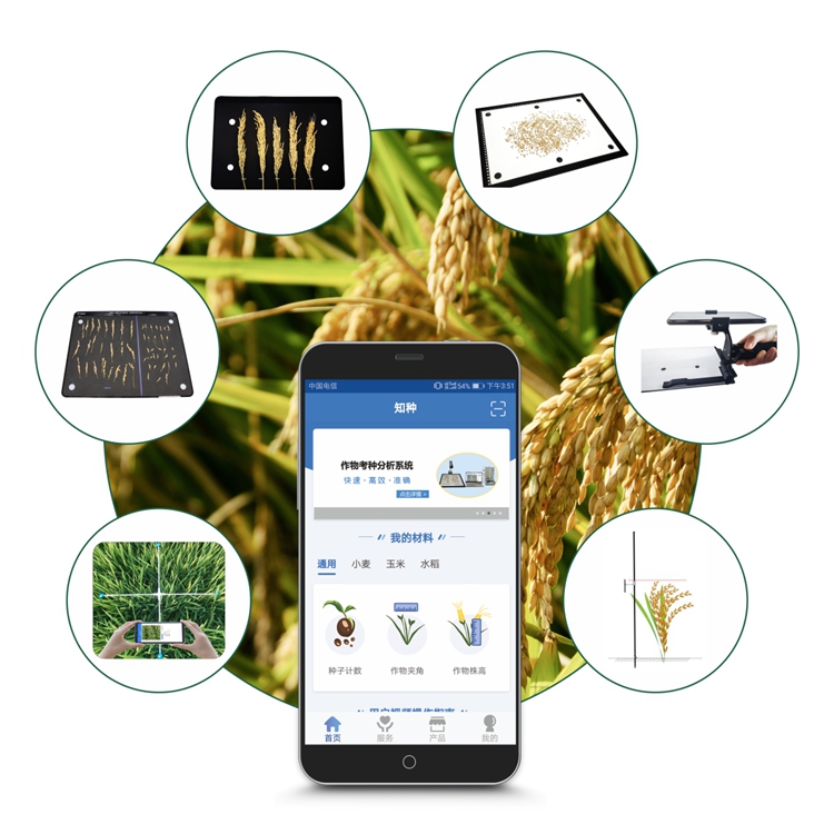 水稻表型检测系统