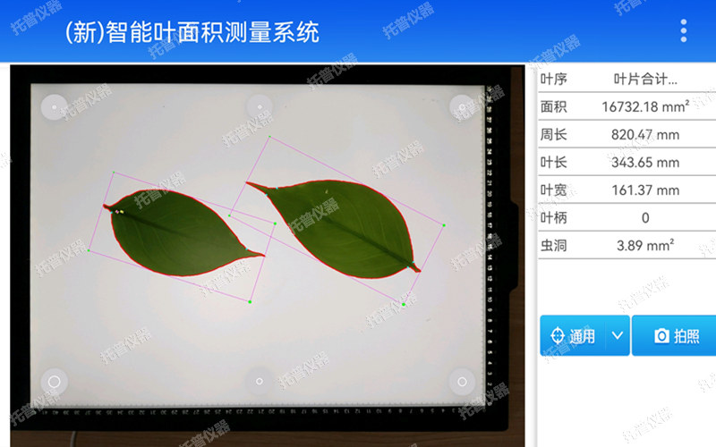 拍照式叶面积测量仪 YMJ-CHA3