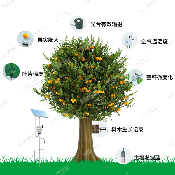 植物生理生态监测系统在果园中的应用缩略图