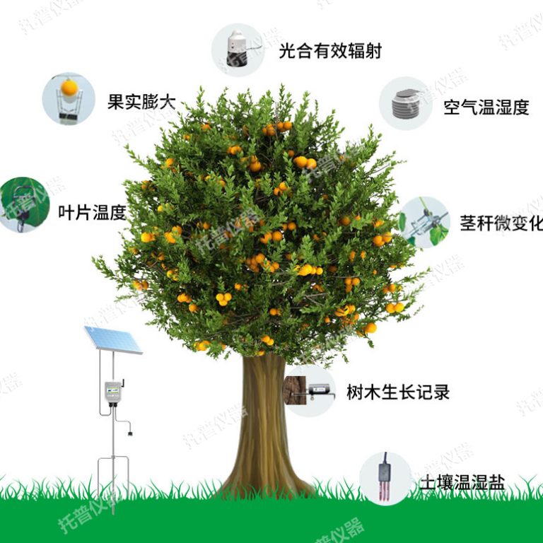 植物生理生态监测系统 TP-ZWSL系列