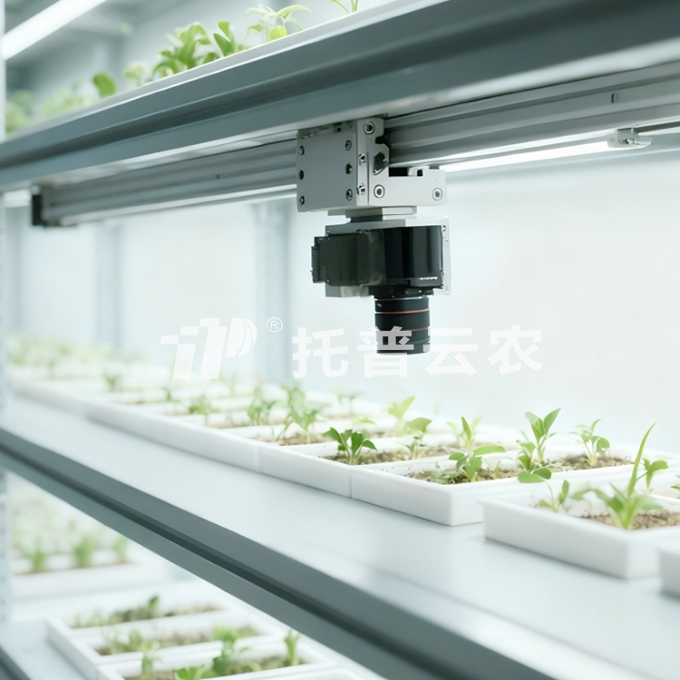 人工气候室植物表型监测系统 TP-PlantR