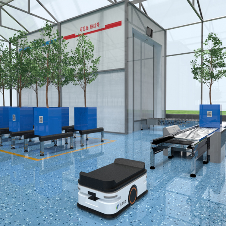 盆栽果树高通量表型平台