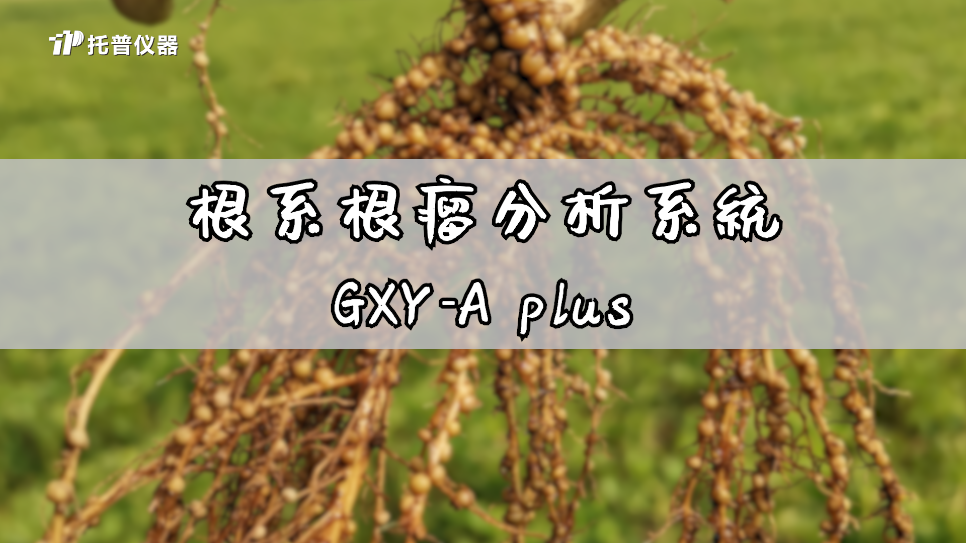 根系根瘤分析系统（GXY-A plus）的使用方法缩略图