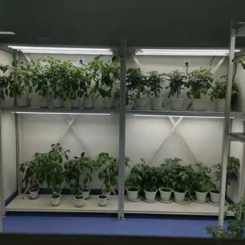 植物病理研究室缩略图