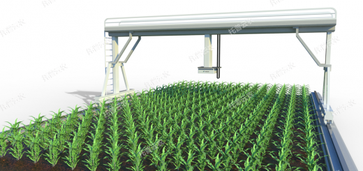 轨道式田间高通量植物表型平台缩略图