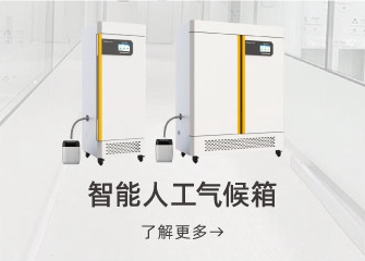 首页图片6