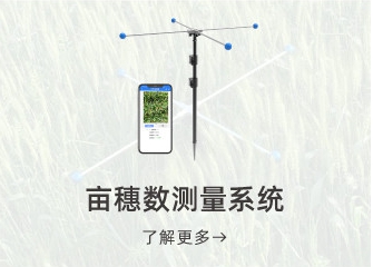 首页图片9