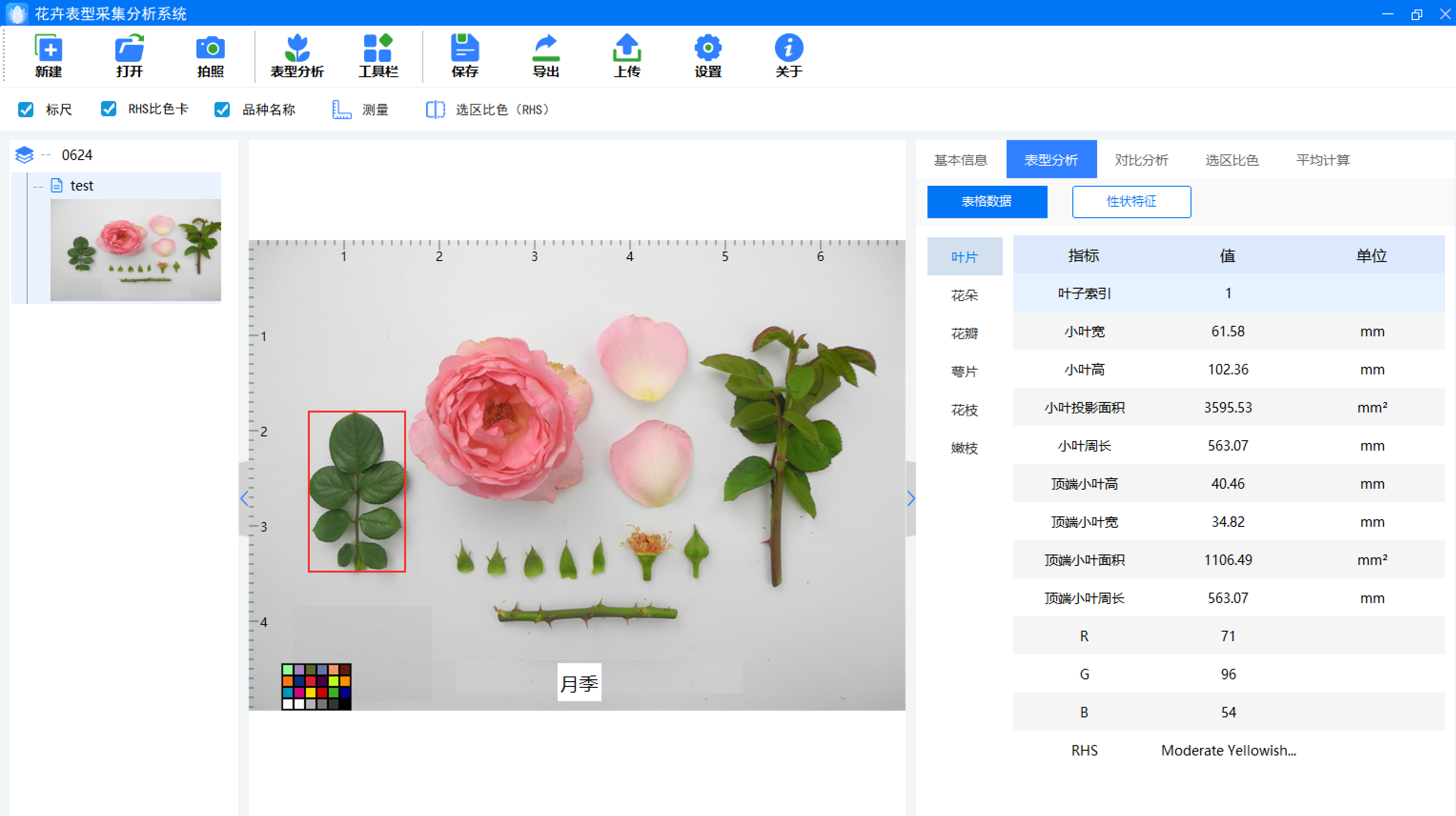 花卉数字表型采集分析系统