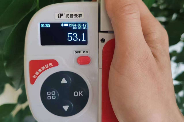叶绿素测定仪