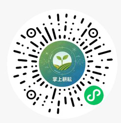 AI表型小程序